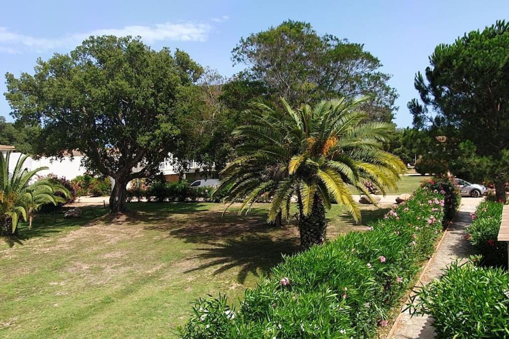 Fiori Di Cala Rossa Appartement T3 Dans Residence Hotelliere Chez Virginie Lecci Exteriör bild